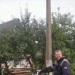 ������, �������, 52 ����