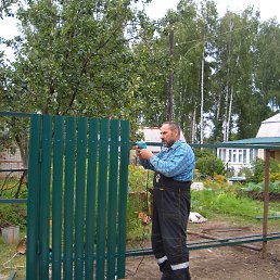 ��������, ������������, 81 ���