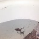 ���� ����, ���������, 59 ��� - ��������� 5 ������� 2022 � ������ ���� ����������