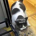 ���� �������, ����� - ��������� 8 ������� 2022 � ������ ������ ��������