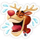 ���� ������, ���������, 43 ���� - ��������� 6 ������� 2023