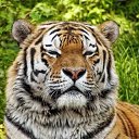 ���� ����, ������, 76 ��� - ��������� 16 ������� 2022 � ������ ���� ����������