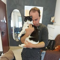 ���� ������, ���������, 27 ��� - ��������� 19 ������ 2022