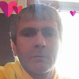 Cedo, �����, 51 ���