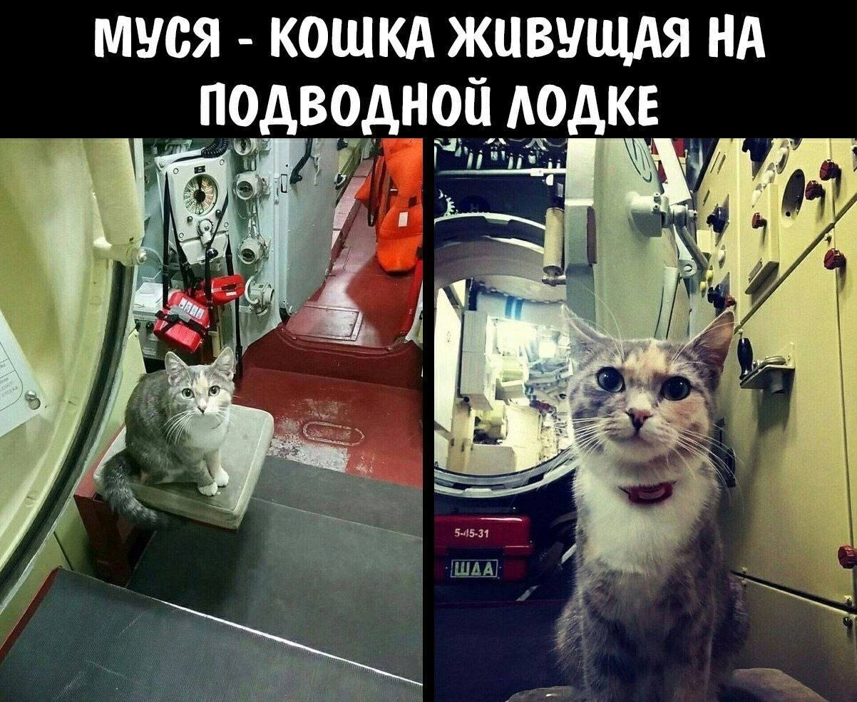    - 11  2023  02:42