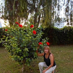 ���� ��������, ������, 54 ���� - ��������� 4 ������� 2022