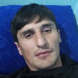 ����, �������, 37 ���