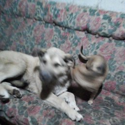 ���� ������, ���������, 52 ���� - ��������� 7 ������ 2023