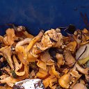 ���� �����, �����, 48 ��� - ��������� 26 ������� 2022 � ������ ���� ����������