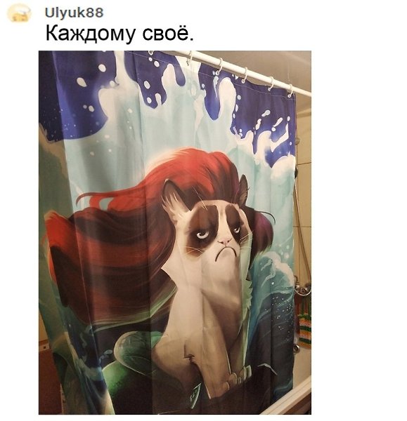 Неужели вы действительно считаете, что