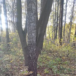 ���� �ury, �����, 47 ��� - ��������� 20 ������� 2022