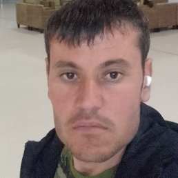 �����, �����-���������, 31 ���