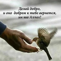 ���, ������, 42 ����