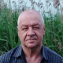 ���������, ������, 65 ���