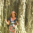 ���� ������, ���������� - ��������� 22 ��� 2022 � ������ ���� ����������