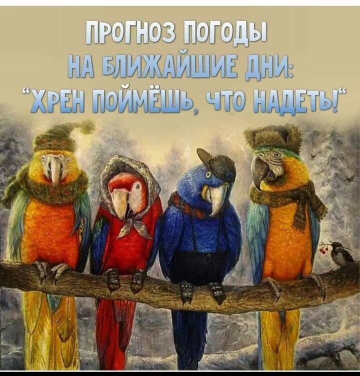 ! - 11  2022  19:46