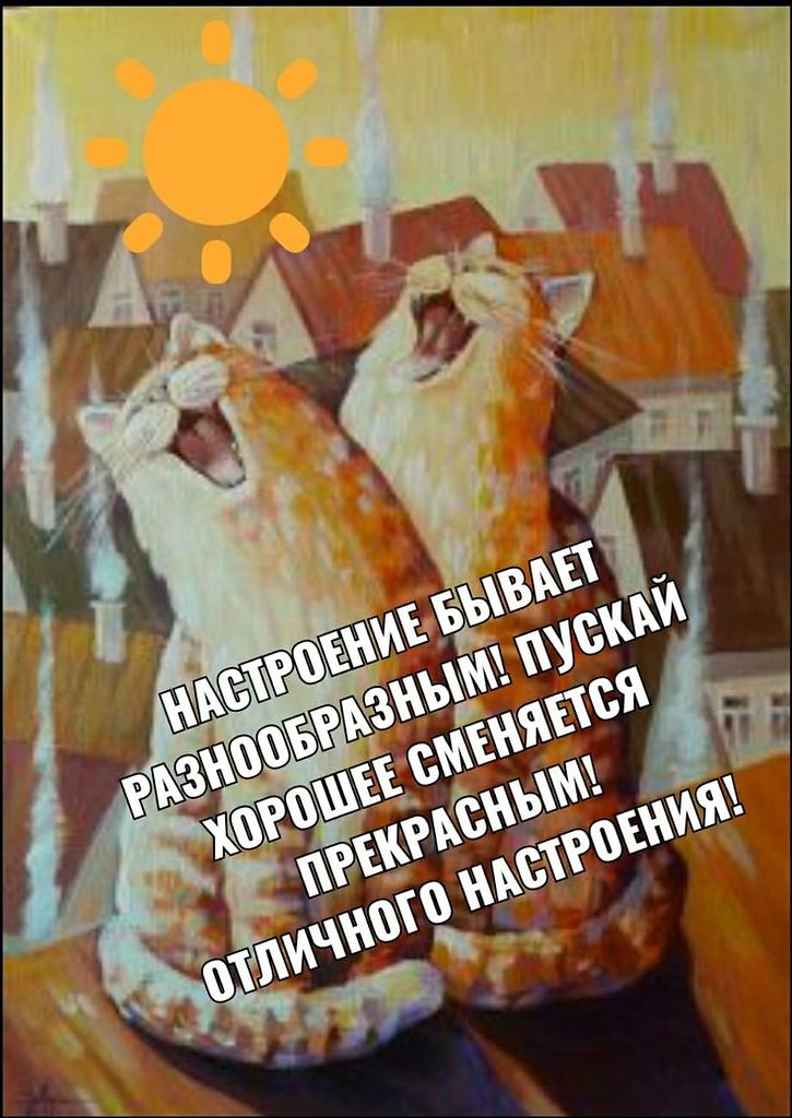   - 12  2022  22:10
