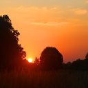 ���� �������, ������, 37 ��� - ��������� 17 ������� 2022 � ������ ������ ��������