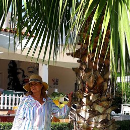 ���� �������, �����, 56 ��� - ��������� 22 ������ 2022