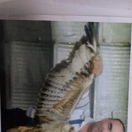 Abdigappar, �������, 46 ���