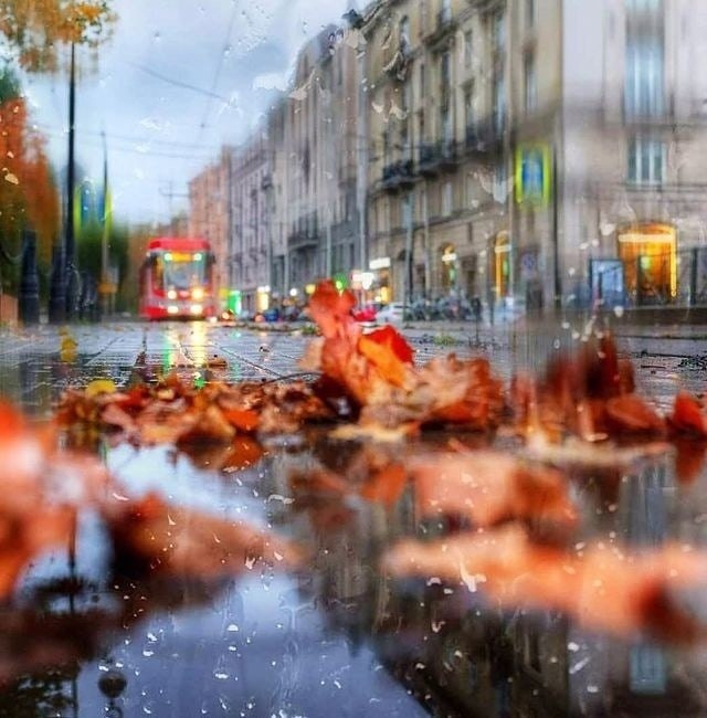  . eduard_gordeev_.