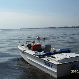 �����, ������, 51 ���