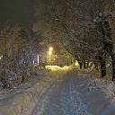 ���� ������, ������, 49 ��� - ��������� 17 ������� 2022 � ������ ���� ����������
