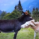 ���� �., �����������, 70 ��� - ��������� 14 ��� 2022 � ������ ������ ��������