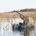 ���� �������, �����, 50 ��� - ��������� 28 ������� 2022 � ������ ���� ����������