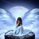 ���� *����@����@*, ��������, 32 ���� - ��������� 3 ������� 2023 � ������ ���� ����������