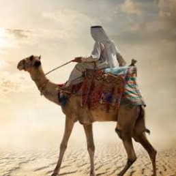 ���� Beduin, ����������, 34 ���� - ��������� 10 ������ 2023