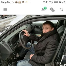 ������, ������, 41 ���