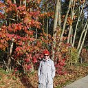 ���� ���, ���������, 61 ��� - ��������� 25 ������� 2022 � ������ ������� 2021�