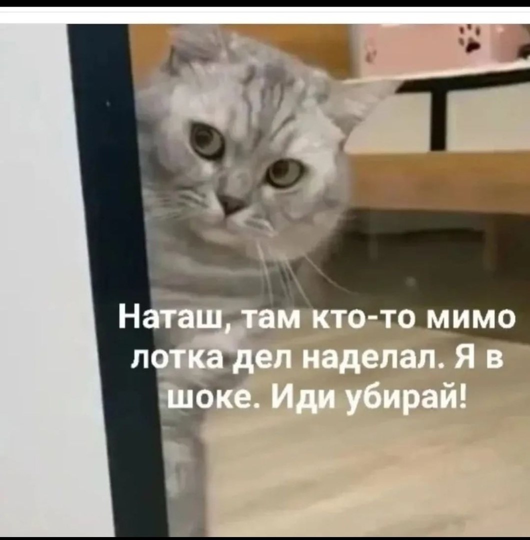  - 22  2022  12:08