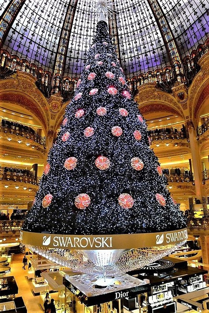 . .    Swarovski       ...