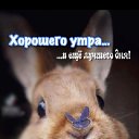 ���� ������, ���������, 50 ��� - ��������� 22 ������ 2022 � ������ ���� ����������