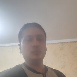 ����, ������, 40 ���