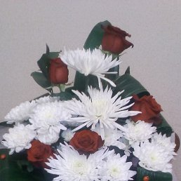 ����, �����-���������