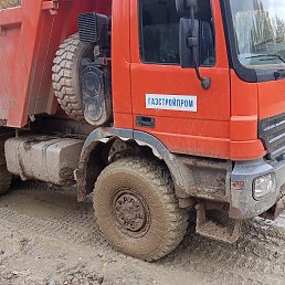 ���� ������, ��������, 41 ��� - ��������� 17 ������� 2022