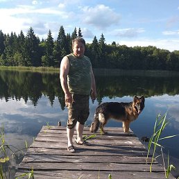 ������, �����, 54 ����