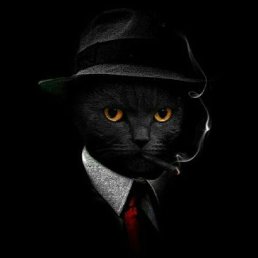 ���� �������, ������������, 46 ��� - ��������� 12 ������� 2022