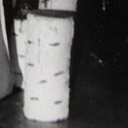 ������, 39 ���, ������