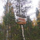  ***L***,   -  3  2022    24-25  2022 .