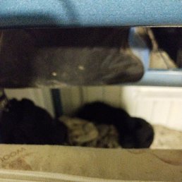 ���, ������, 42 ����