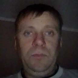 ���������, ������, 40 ���