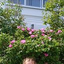 ��� �������� �� ������� ���� ����������