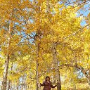 ���� �����, �����-���������, 52 ���� - ��������� 27 �������� 2022 � ������ ���� ����������