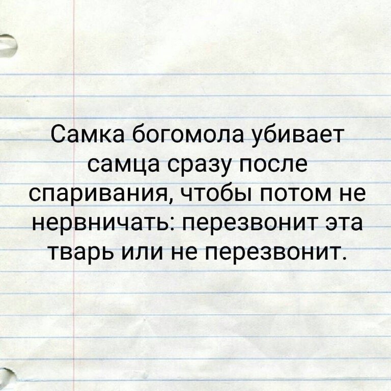 ☆������ �����☆ - 30 ������� 2022 � 12:06