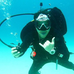 Shark, �������, 45 ���