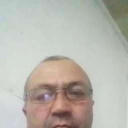 , 52 , 